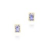 Rectangular iolite earrings in 18k gold vermeil