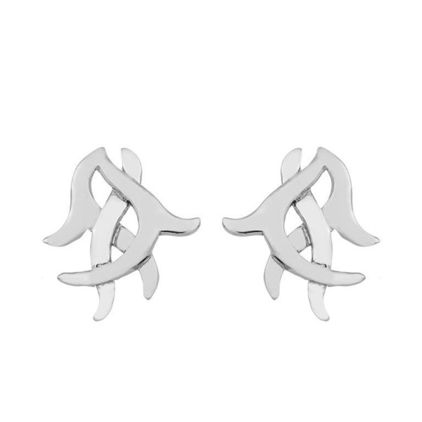 Pendientes ROOTS de Plata.