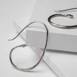 CLEO Earrings  in Silver.