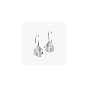 PENDIENTES DE PLATA DE LEY